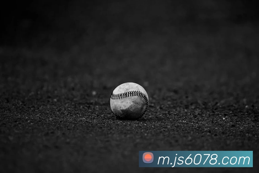 澳门金沙国际服务体系